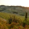 Langhe in 3 days: taste the north of Italy