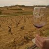 La Rioja: taste the north of Spain
