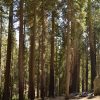 Top 5 views in Yosemite park