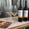 Pasanau winery: La Morera to taste