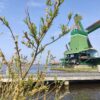 Zaanse Schans day trip: visit the windmills